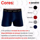 Kit 10 Cuecas Sandrini Boxer Algodão Box Atacado Masculina Adulto Promoção